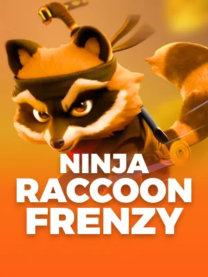 Ninja Raccoon Frenzy